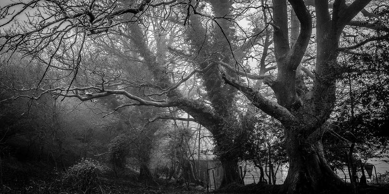 B2B2.0时代：新慧聪如何赋能采购商重构数字化贸易新链路