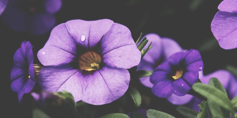 B2B67：未来科技如何重塑采购平台新生态