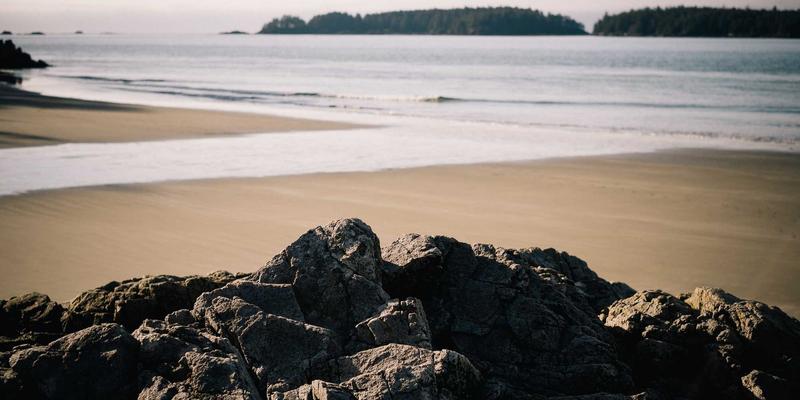 B2B76:数字化时代下贸易供应商的电子商务转型新范式