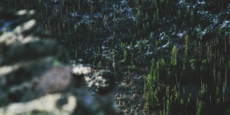 B2B77:解码新一代电子商务平台如何重塑B2B交易生态