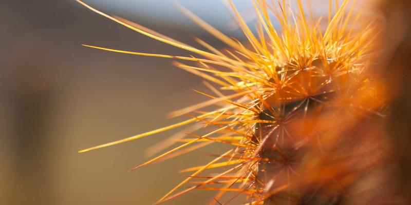 B2B企业如何应对长采购周期：构建平台、供应商与电子商务的协同作战模式