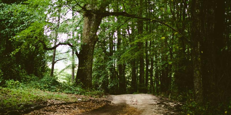 B2B企业如何构建数据驱动的CRM体系：赋能平台与采购商的深度连接