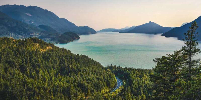 B2B垂直平台深度运营：从供应商聚合到生态构建的实战方法论