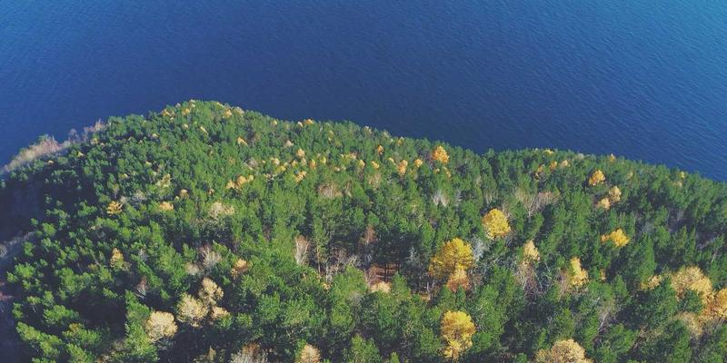 B2B定价策略与模型设计：基于价值与数据的动态定价实战，赋能贸易与供应商的未来科技