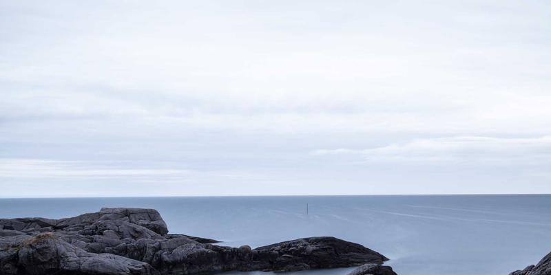 B2B客户成功体系搭建：赋能采购商与未来科技供应商实现价值共赢