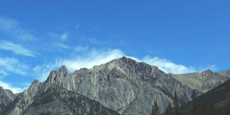 B2B战略合作伙伴关系管理：从传统贸易到电子商务平台的深度变革