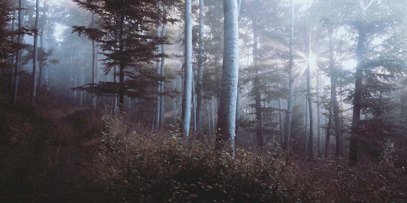 B2B电子商务：数字化时代全球贸易的核心引擎