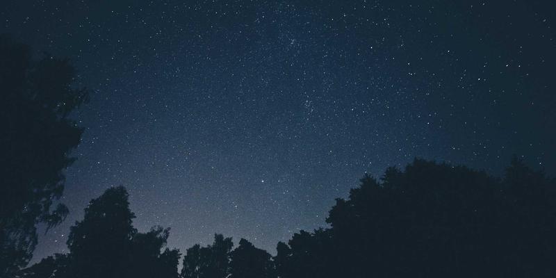 供应商如何借力API经济：构建开放电子商务平台，重塑B2B贸易生态