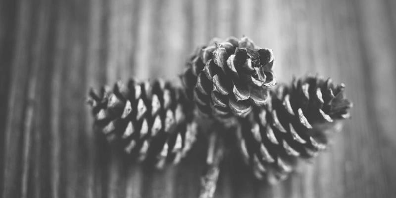 未来科技与新慧聪视角：破解B2B长周期销售线索的培育与管理之道