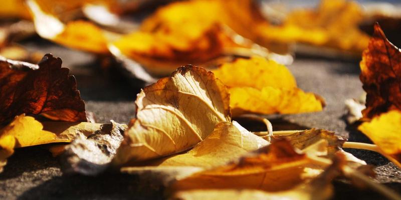 未来科技驱动下的B2B贸易革命：ABM实战应用全指南